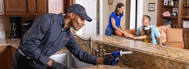 Best Commercial Pest Control  in Stone Ridge, NY